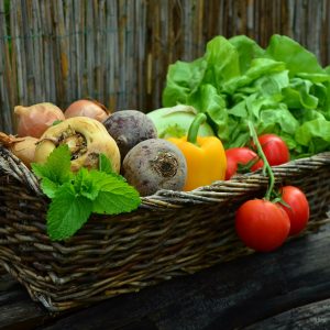 Open Door Food Distribution